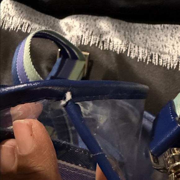 Kate Spade Transparent Tote with Navy and Mint Stripes - Picture 13 of 13